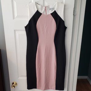BodyCon Business Dress, Shelby & Palmer 14